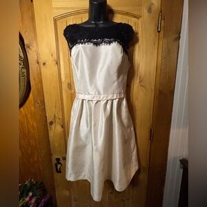 Signature Black and Cream Mini Dress